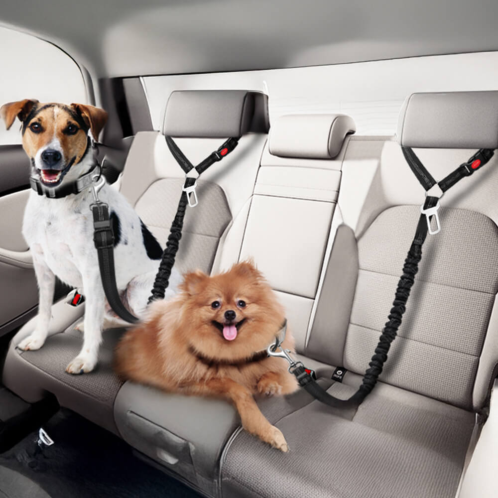 Dog Car Seat Belt for Vehicle Headrest – Car Accessories (main) | Petix pet supplies for dogs and cats