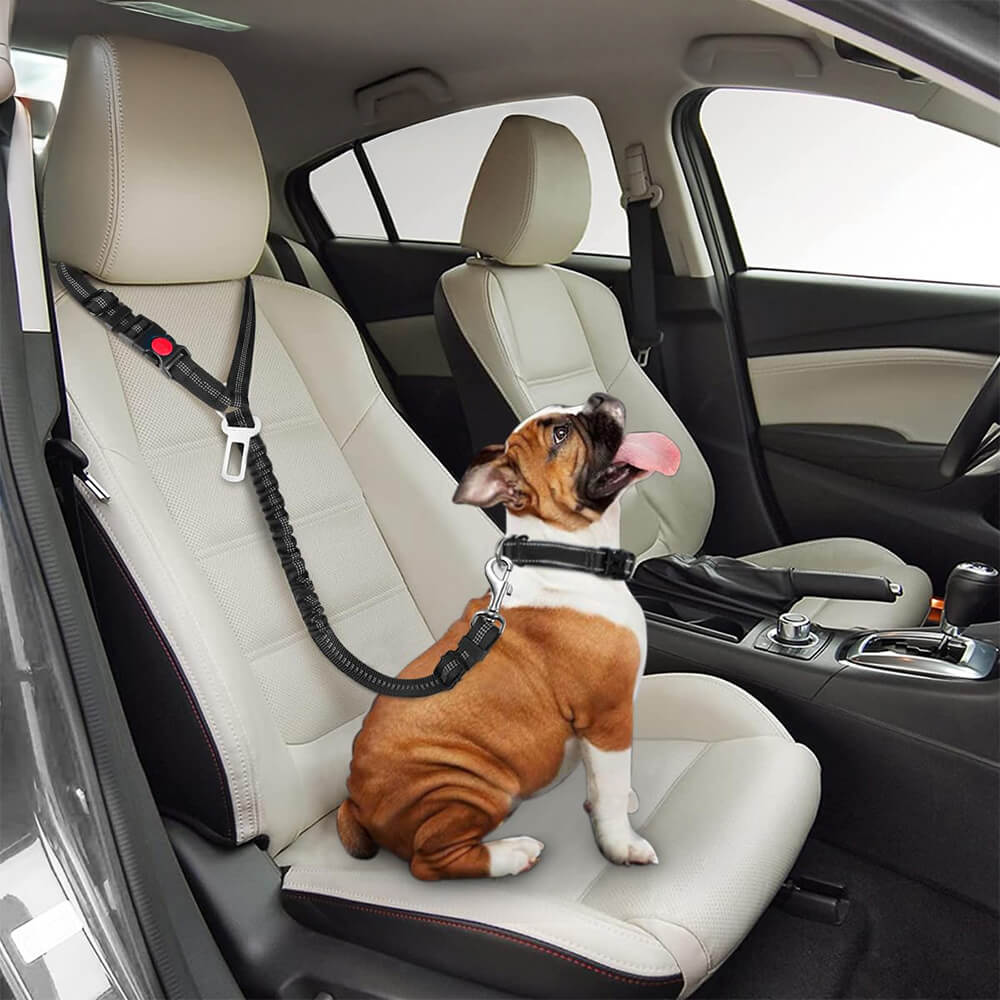Dog Car Seat Belt for Vehicle Headrest – Car Accessories (view 2) | Petix pet supplies for dogs and cats