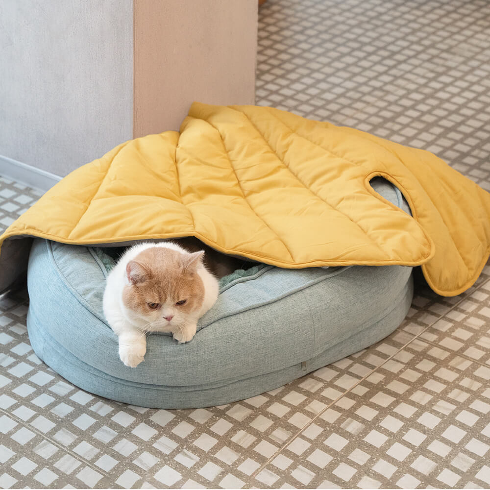 Donut Orthopedic Outdoor Dog Bed – Dog Beds (view 19) | Petix pet supplies for dogs and cats