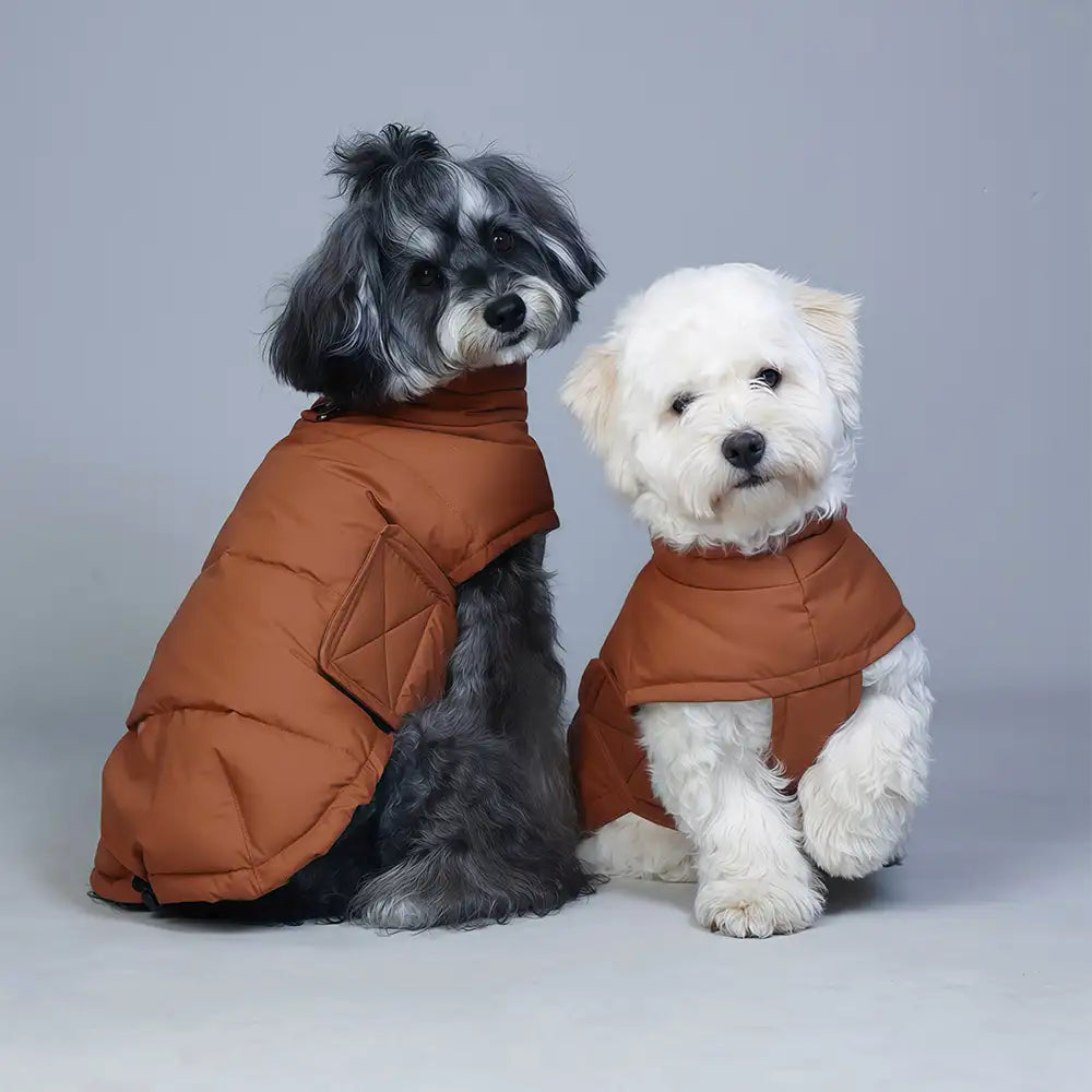 Duck Down Filled Winter Dog Vest Lightweight Warm Dog Coat with Leash Ring – Dog Appar… | Petix pet supplies for dogs and cats