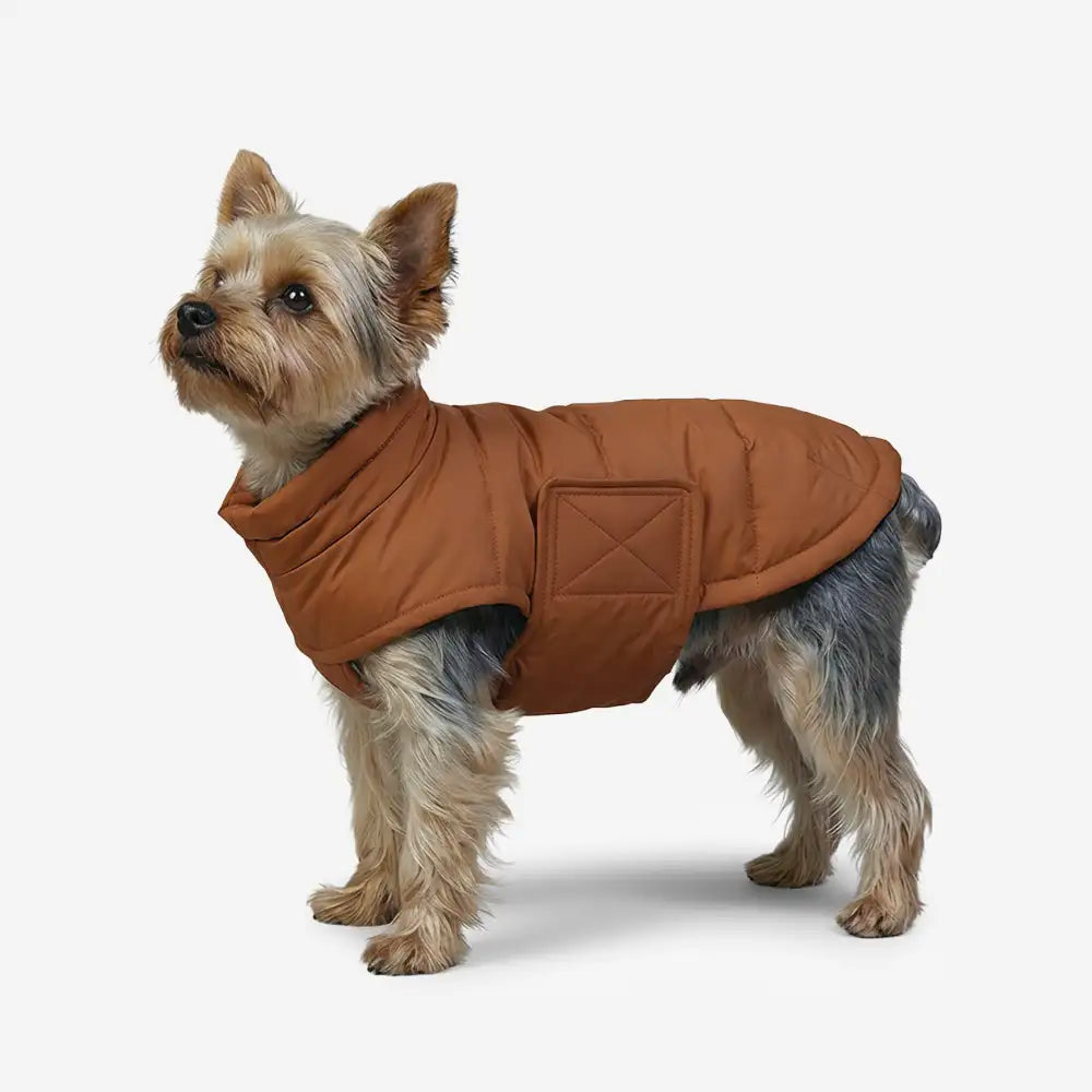 Duck Down Filled Winter Dog Vest Lightweight Warm Dog Coat with Leash Ring – Dog Appar… | Petix pet supplies for dogs and cats