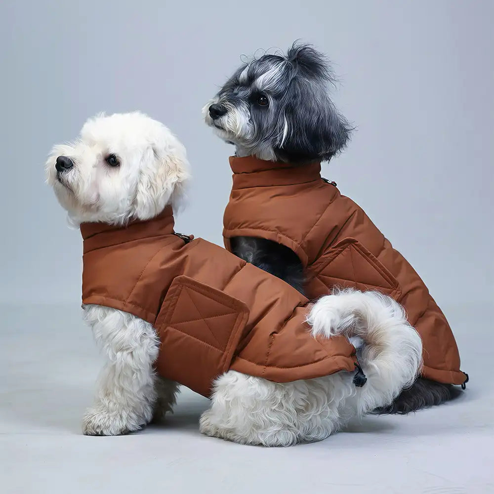 Duck Down Filled Winter Dog Vest Lightweight Warm Dog Coat with Leash Ring – Dog Appar… | Petix pet supplies for dogs and cats