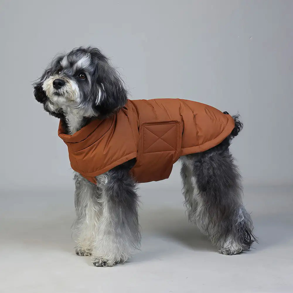 Duck Down Filled Winter Dog Vest Lightweight Warm Dog Coat with Leash Ring – Dog Appar… | Petix pet supplies for dogs and cats