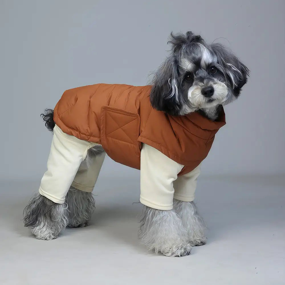 Duck Down Filled Winter Dog Vest Lightweight Warm Dog Coat with Leash Ring – Dog Appar… | Petix pet supplies for dogs and cats
