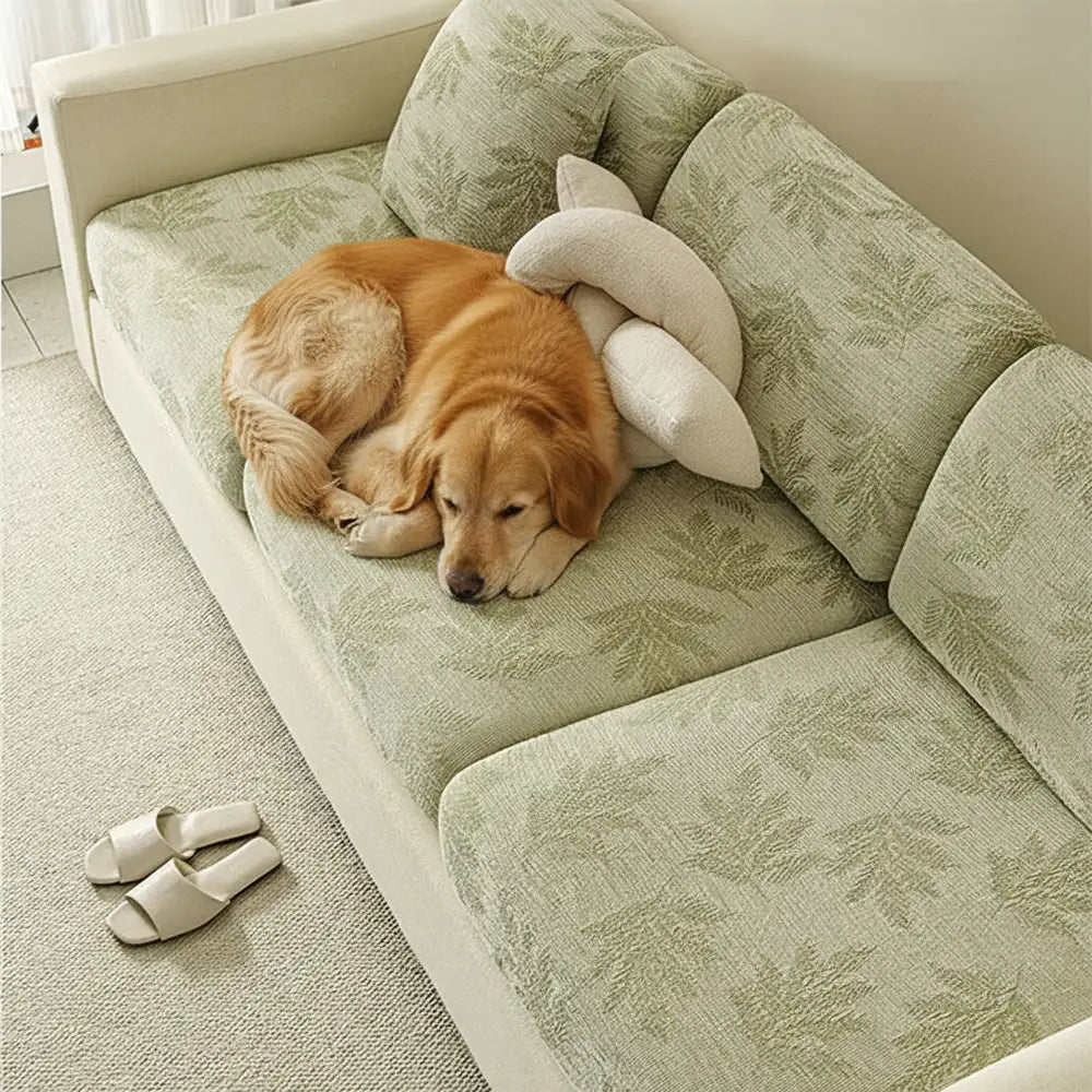 Elastic Chenille All-Season Anti-Scratch Full-Coverage Couch Cover – Couch Cover (view… | Petix pet supplies for dogs and cats