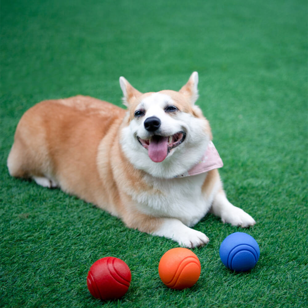 Elastic Squeaky Ball Toy Floating Water Ball Dog Chew Toys – Dog Toys (view 2) | Petix pet supplies for dogs and cats