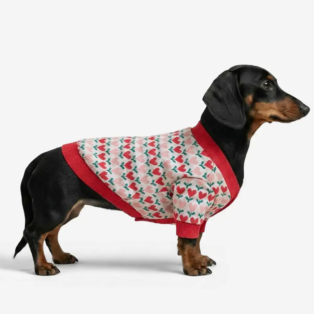 Fair Isle Heart Patterned Cardigan Dog Sweater For Small Dogs – Dog Apparel (main) | Petix pet supplies for dogs and cats