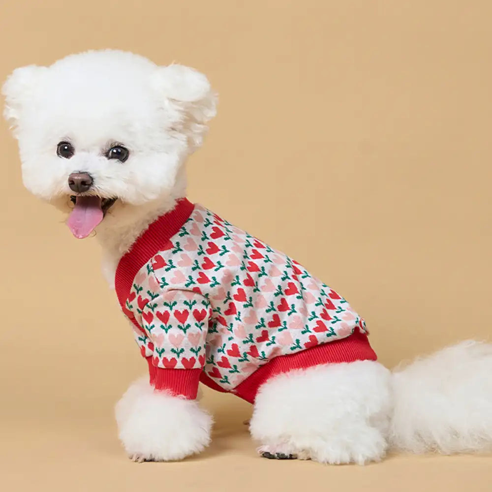 Fair Isle Heart Patterned Cardigan Dog Sweater For Small Dogs – Dog Apparel (view 5) | Petix pet supplies for dogs and cats