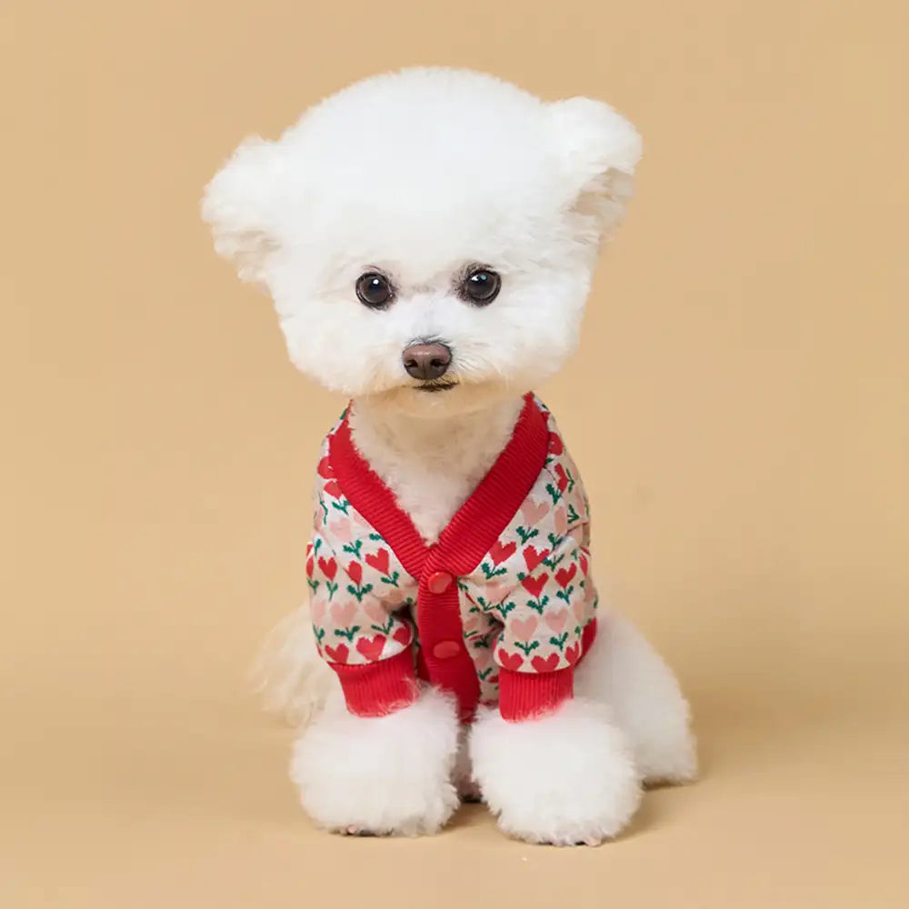 Fair Isle Heart Patterned Cardigan Dog Sweater For Small Dogs – Dog Apparel (view 7) | Petix pet supplies for dogs and cats