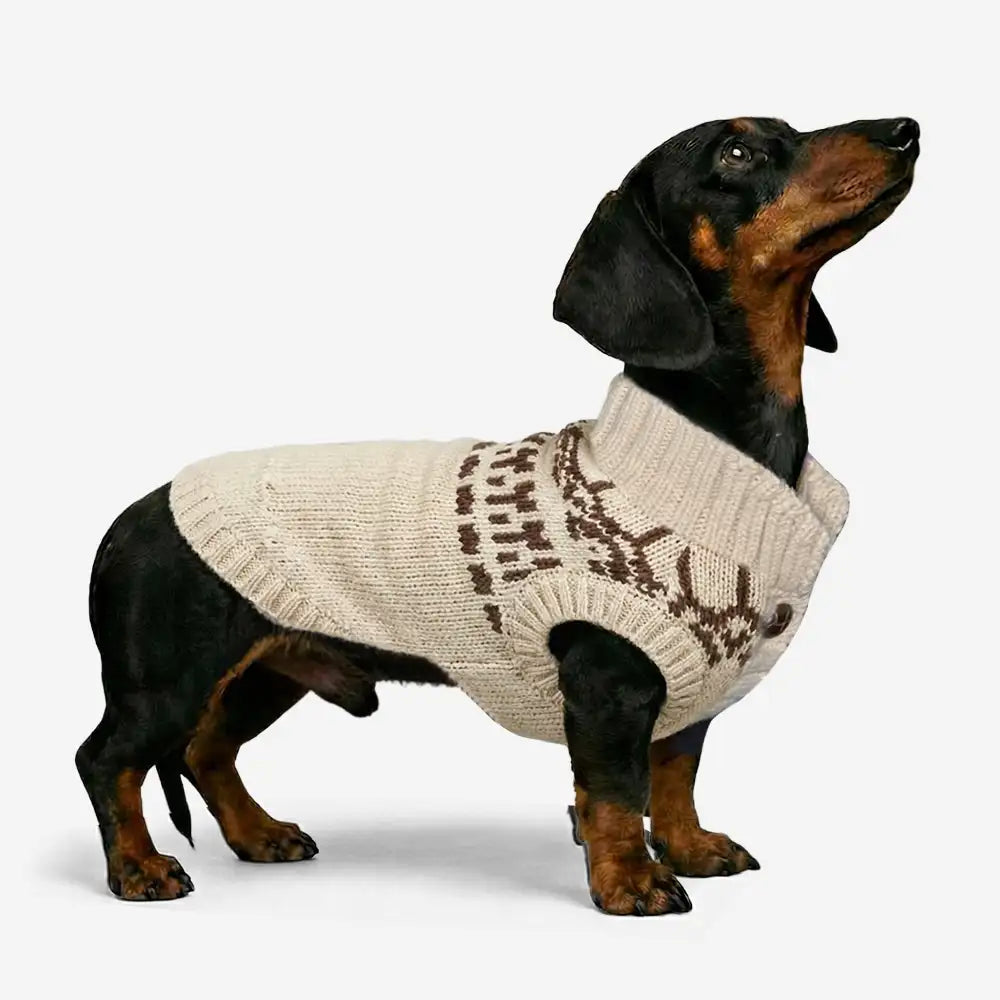 Fair Isle Pattern Sleeveless Dog Sweater For Small Dogs – Dog Apparel (main) | Petix pet supplies for dogs and cats