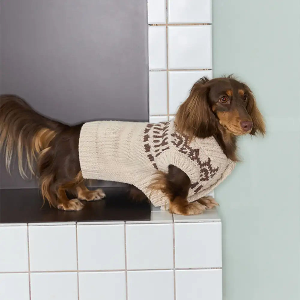 Fair Isle Pattern Sleeveless Dog Sweater For Small Dogs – Dog Apparel (view 2) | Petix pet supplies for dogs and cats