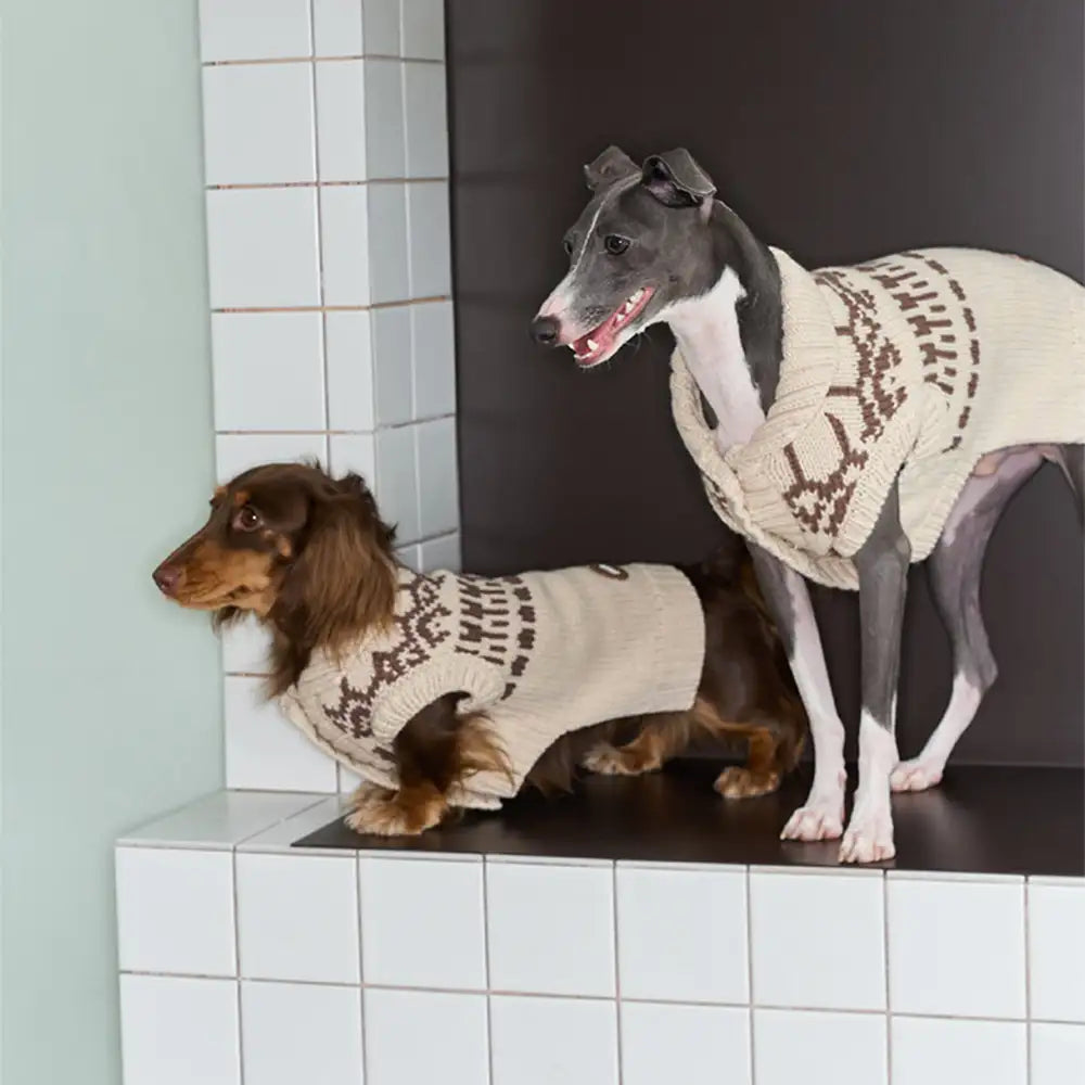 Fair Isle Pattern Sleeveless Dog Sweater For Small Dogs – Dog Apparel (view 3) | Petix pet supplies for dogs and cats