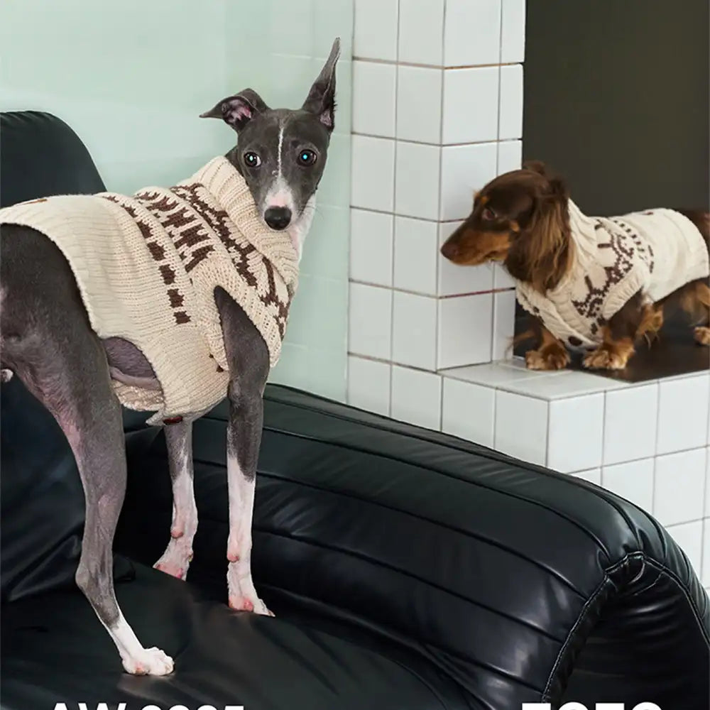 Fair Isle Pattern Sleeveless Dog Sweater For Small Dogs – Dog Apparel (view 5) | Petix pet supplies for dogs and cats