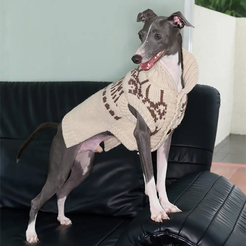 Fair Isle Pattern Sleeveless Dog Sweater For Small Dogs – Dog Apparel (view 6) | Petix pet supplies for dogs and cats