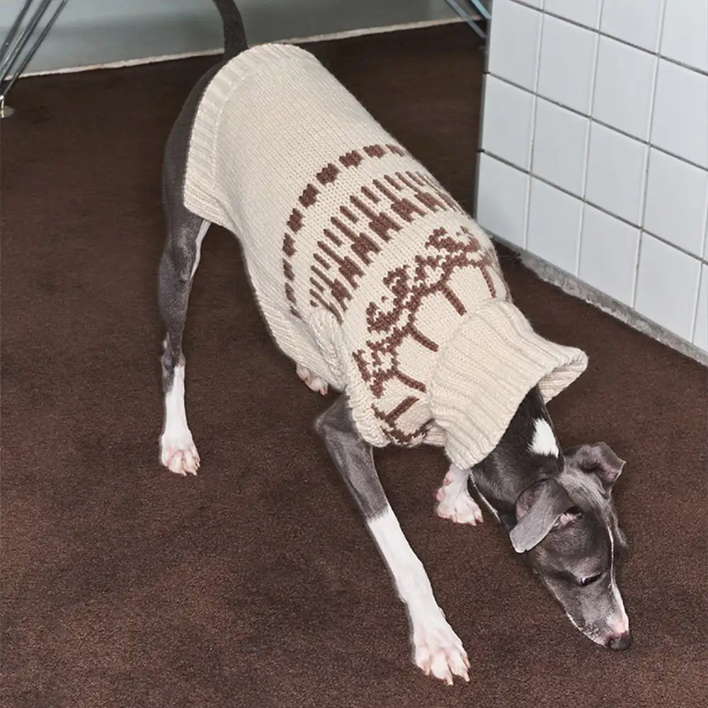 Fair Isle Pattern Sleeveless Dog Sweater For Small Dogs – Dog Apparel (view 8) | Petix pet supplies for dogs and cats
