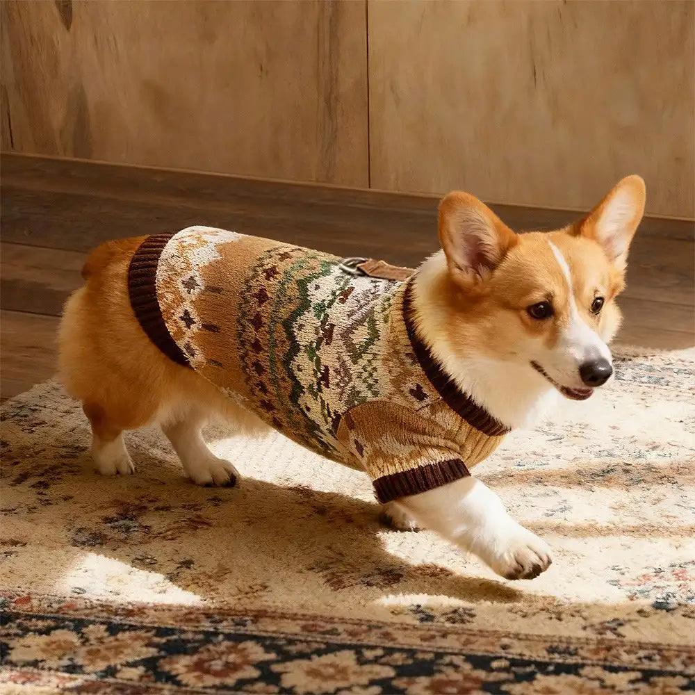 Fair Isle Vintage Pattern Dachshund And Small To Medium-Sized Dog Sweater – Dog Appare… | Petix pet supplies for dogs and cats