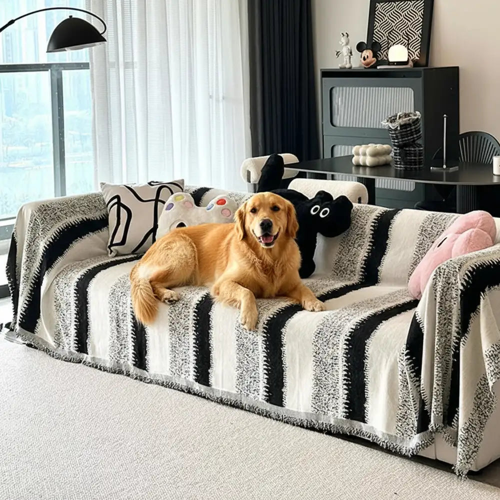 Fashion Striped Chenille Scratch-Resistant Sofa Protection Couch Cover – Couch Cover (… | Petix pet supplies for dogs and cats