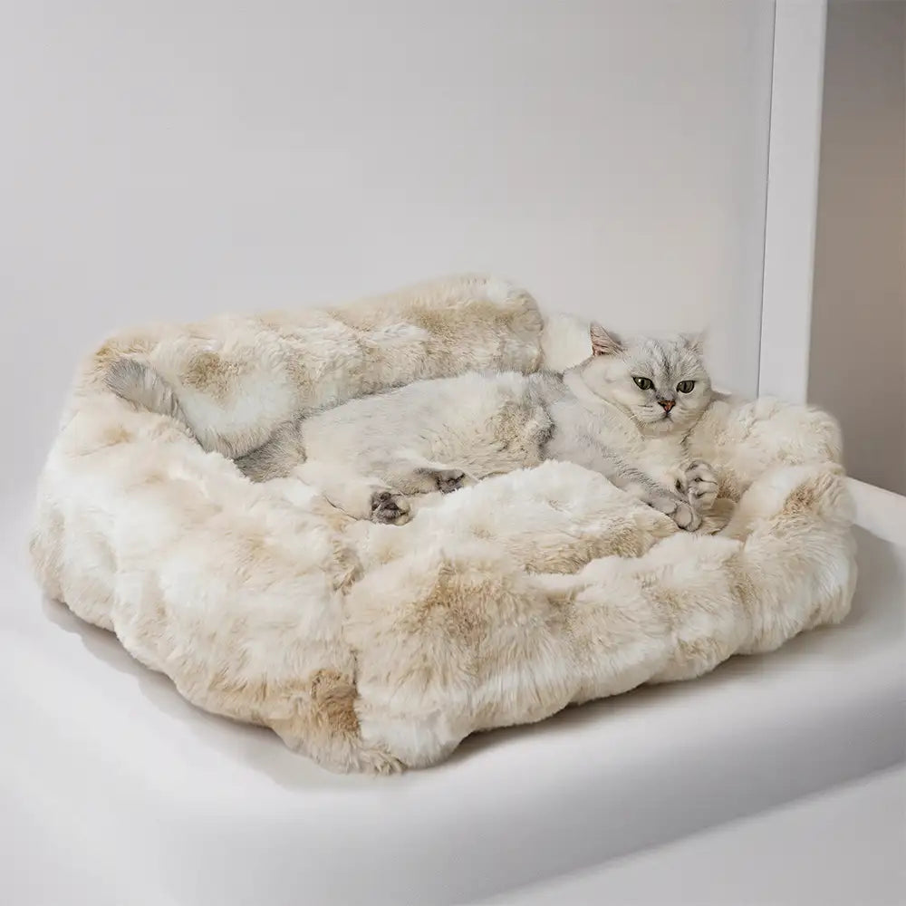 Faux Rabbit Velvet Fluffy Soft Dog And Cat Sofa Bed – Dog Beds (view 4) | Petix pet supplies for dogs and cats