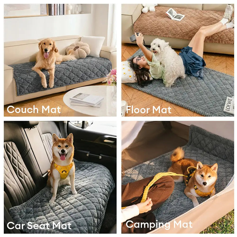 Fluffy Fuzzy Pet-Friendly Sofa Protector Washable Couch Cover Pet Mat – Couch Cover (v… | Petix pet supplies for dogs and cats