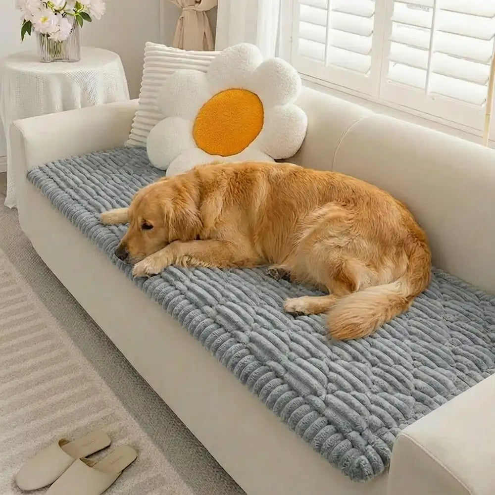 Fluffy Fuzzy Pet-Friendly Sofa Protector Washable Couch Cover Pet Mat – Couch Cover (v… | Petix pet supplies for dogs and cats