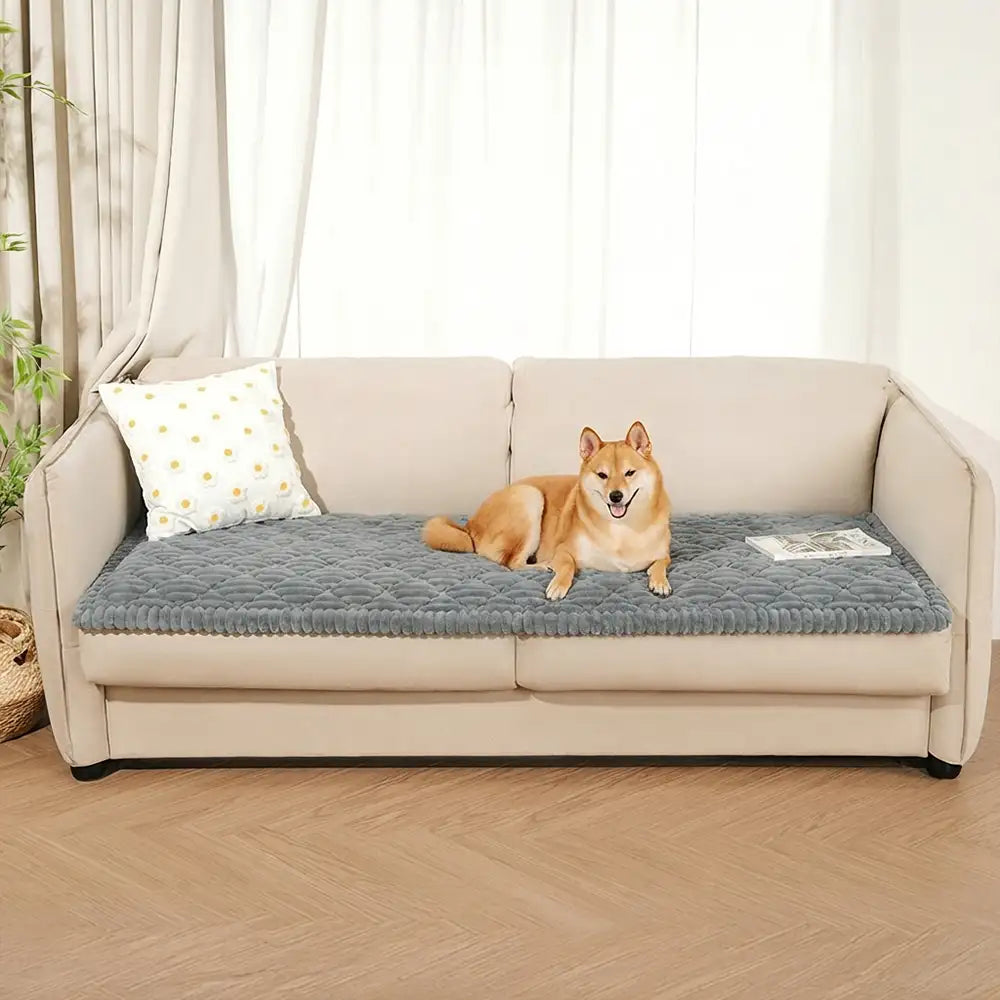 Fluffy Fuzzy Pet-Friendly Sofa Protector Washable Couch Cover Pet Mat – Couch Cover (v… | Petix pet supplies for dogs and cats