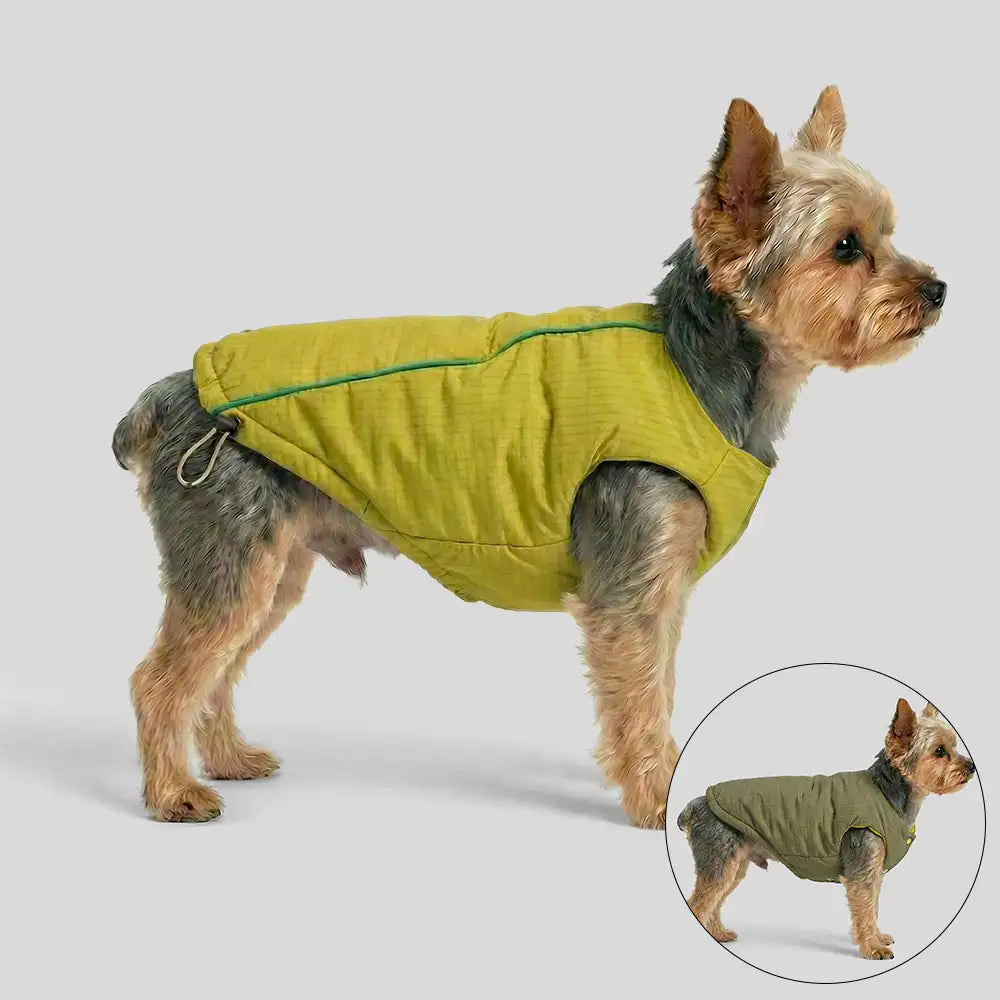 Fashion Reversible Padded Thick Warm Dog Jacket – Dog Apparel (main) | Petix pet supplies for dogs and cats