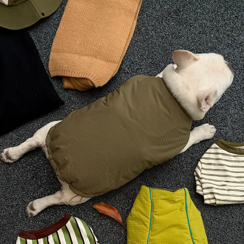 Fashion Reversible Padded Thick Warm Dog Jacket – Dog Apparel (view 11) | Petix pet supplies for dogs and cats