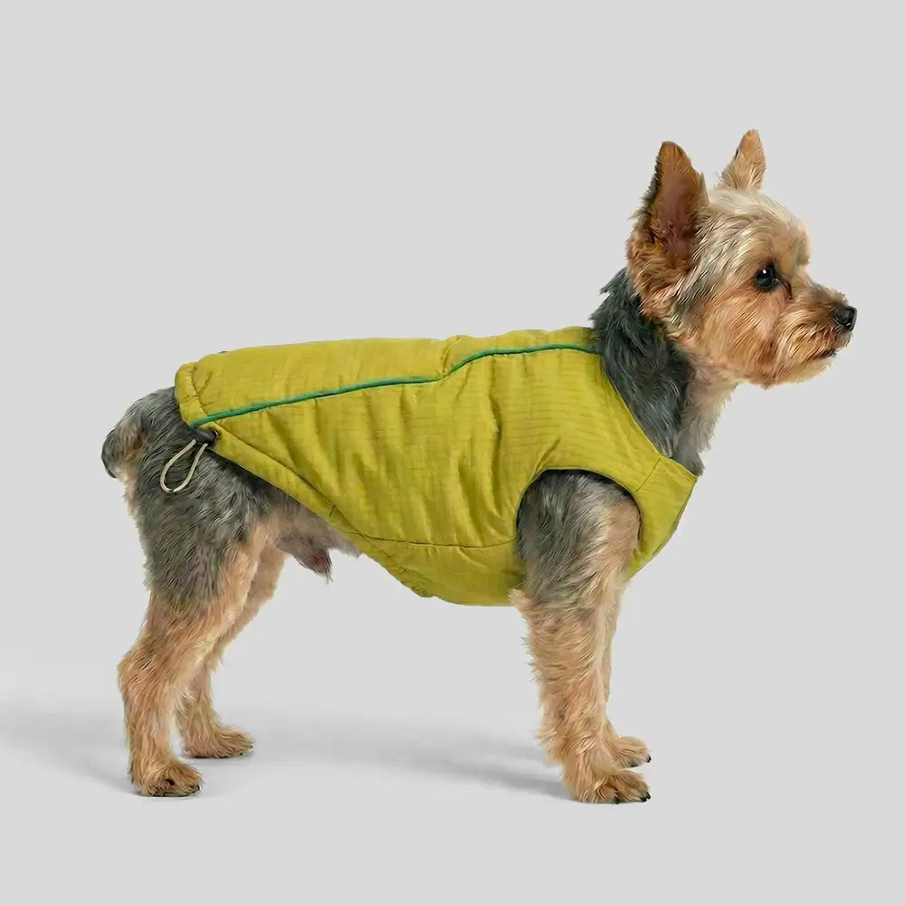 Fashion Reversible Padded Thick Warm Dog Jacket – Dog Apparel (view 2) | Petix pet supplies for dogs and cats