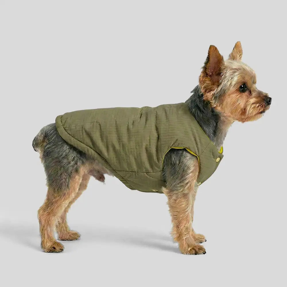 Fashion Reversible Padded Thick Warm Dog Jacket – Dog Apparel (view 3) | Petix pet supplies for dogs and cats