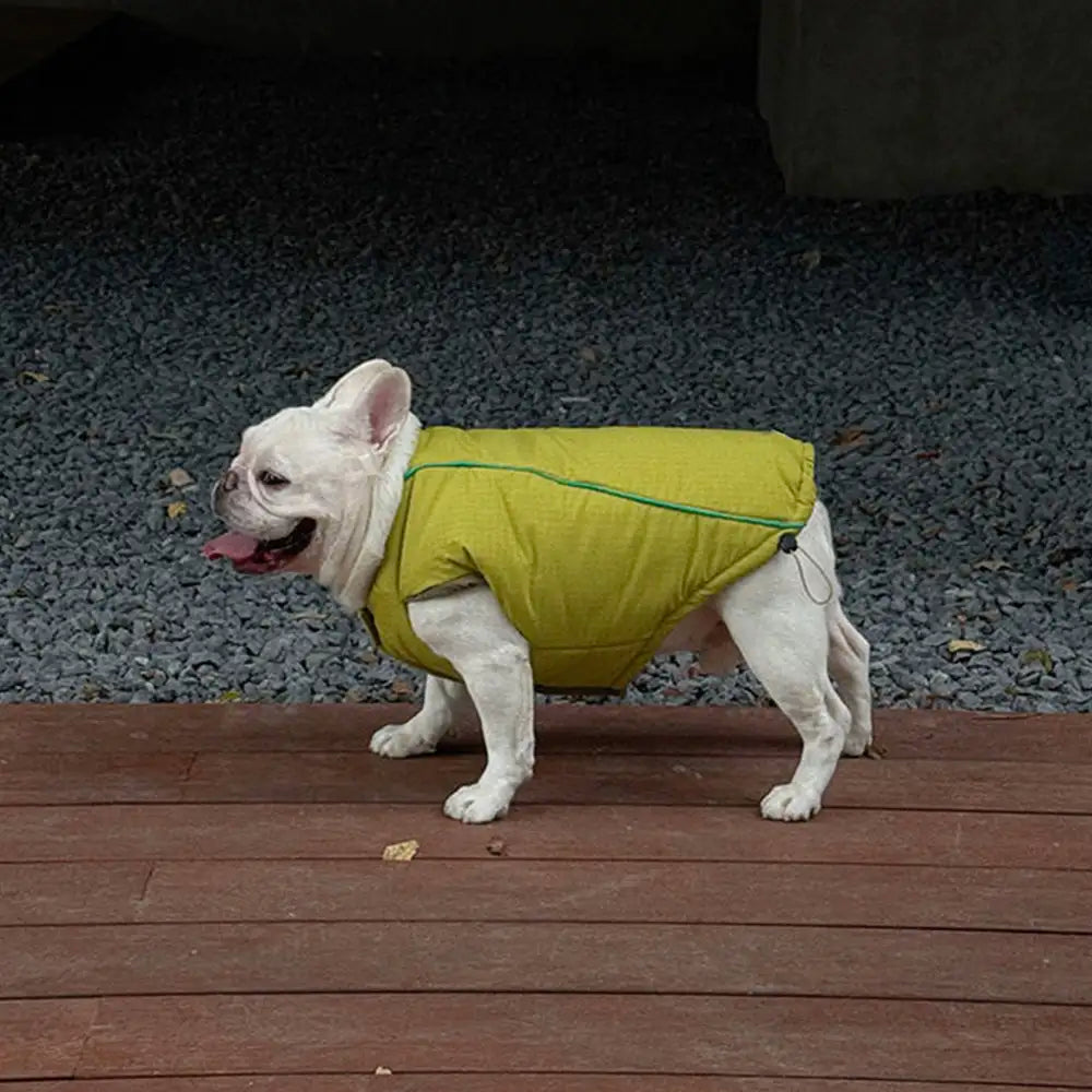 Fashion Reversible Padded Thick Warm Dog Jacket – Dog Apparel (view 5) | Petix pet supplies for dogs and cats