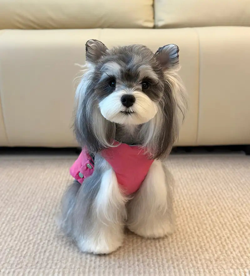 Functional Color-Block Dual-Sided Reversible Wear Dog Vest Coat – Dog Apparel (main) | Petix pet supplies for dogs and cats
