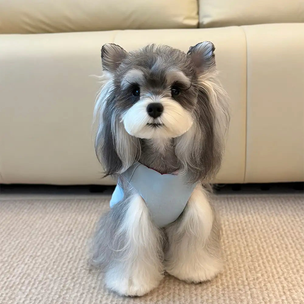Functional Color-Block Dual-Sided Reversible Wear Dog Vest Coat – Dog Apparel (view 2) | Petix pet supplies for dogs and cats