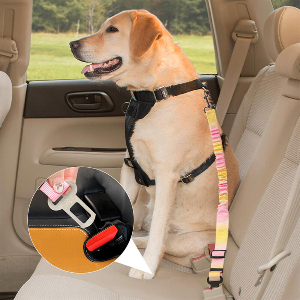 Gradient Elastic Shock-Absorbing Pet Car Safety Belt – Car Accessories (main) | Petix pet supplies for dogs and cats