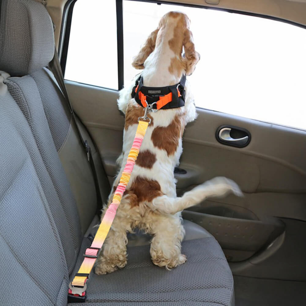 Gradient Elastic Shock-Absorbing Pet Car Safety Belt – Car Accessories (view 2) | Petix pet supplies for dogs and cats
