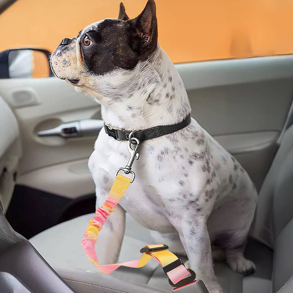 Gradient Elastic Shock-Absorbing Pet Car Safety Belt – Car Accessories (view 3) | Petix pet supplies for dogs and cats