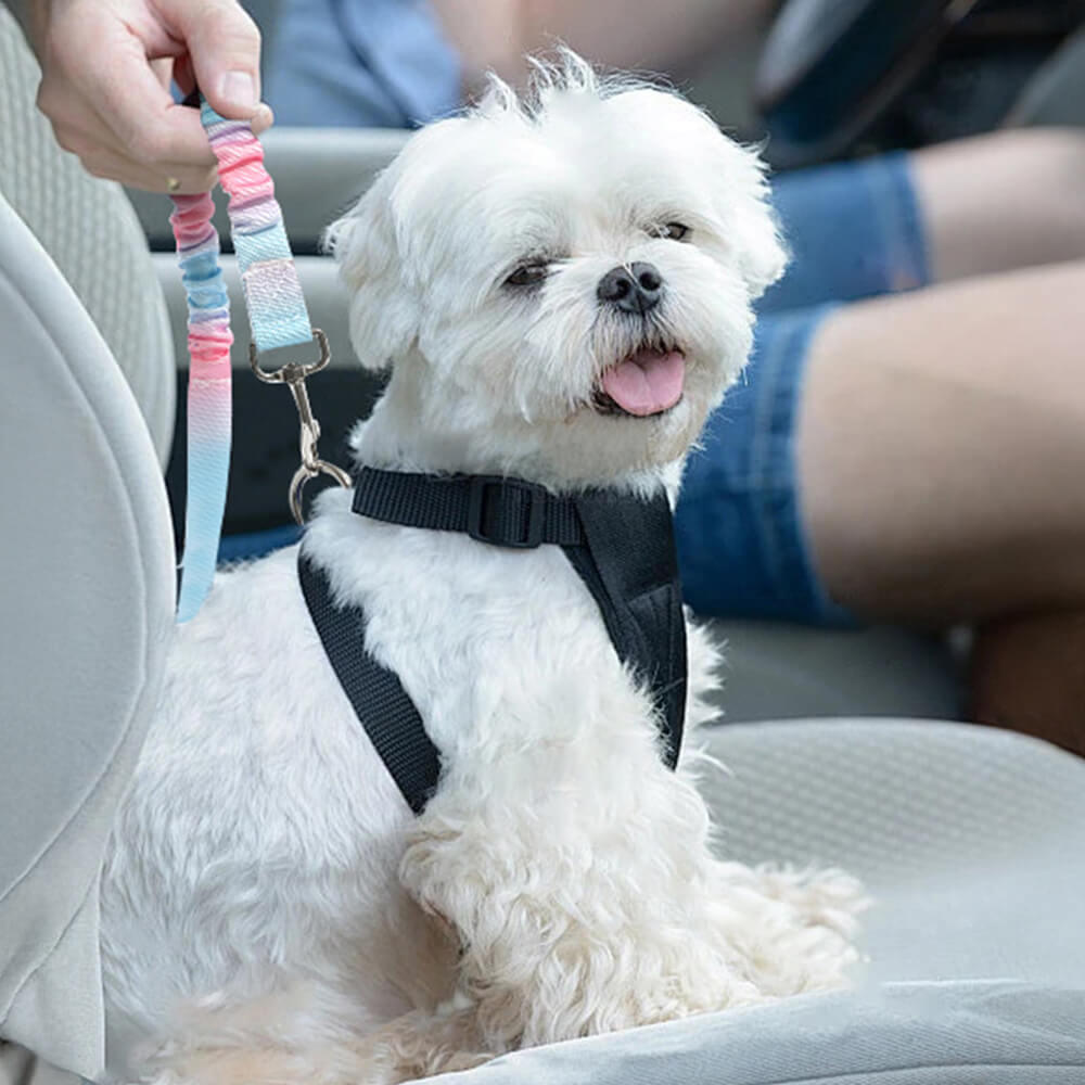 Gradient Elastic Shock-Absorbing Pet Car Safety Belt – Car Accessories (view 4) | Petix pet supplies for dogs and cats