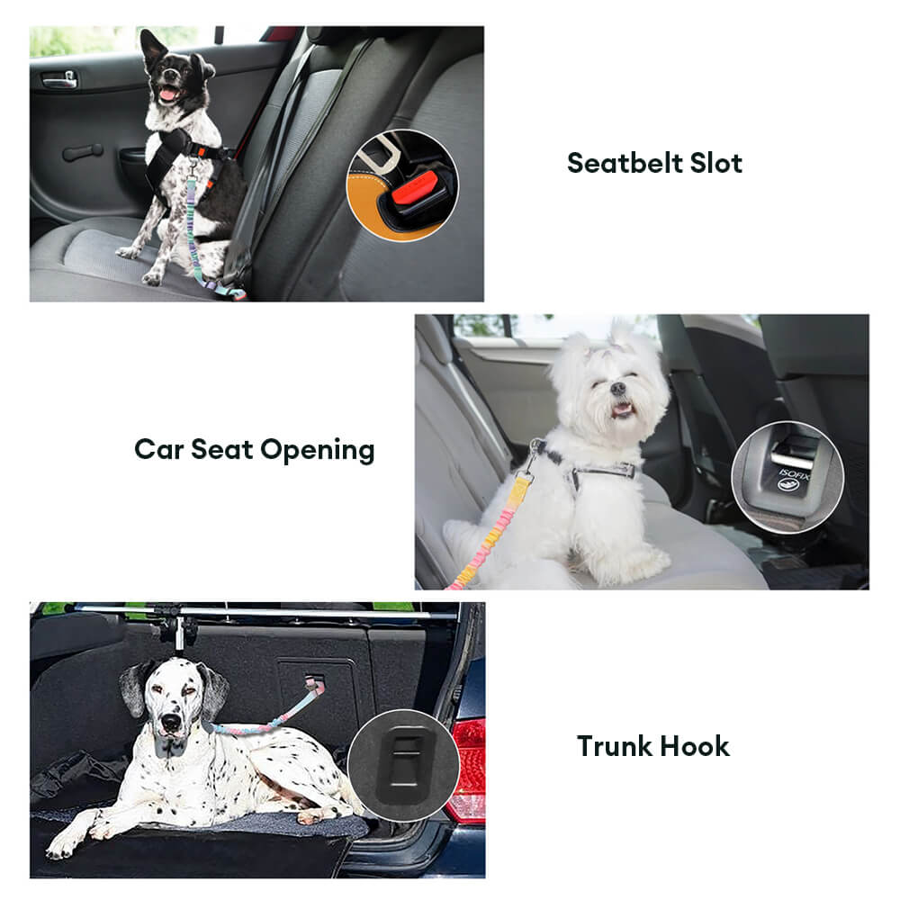 Gradient Elastic Shock-Absorbing Pet Car Safety Belt – Car Accessories (view 5) | Petix pet supplies for dogs and cats