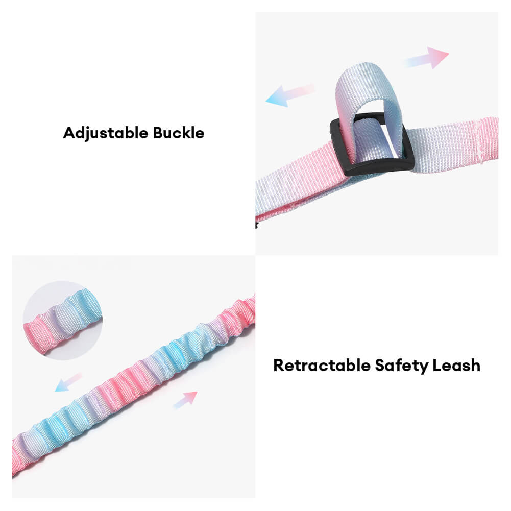 Gradient Elastic Shock-Absorbing Pet Car Safety Belt – Car Accessories (view 6) | Petix pet supplies for dogs and cats