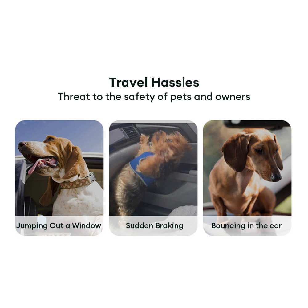Gradient Elastic Shock-Absorbing Pet Car Safety Belt – Car Accessories (view 7) | Petix pet supplies for dogs and cats