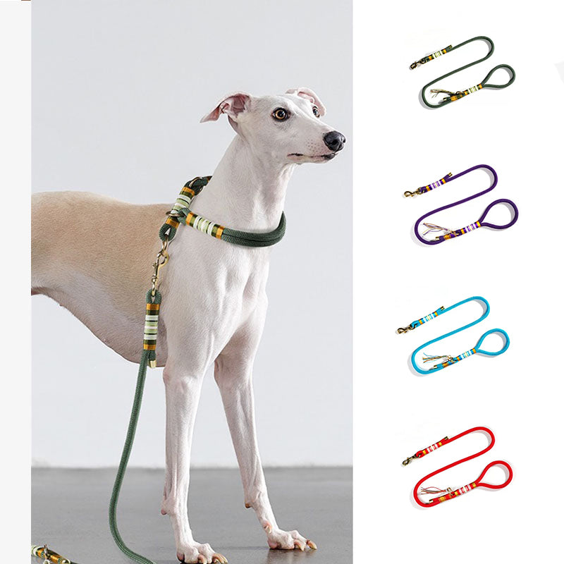 Hand-knitted Braided Rope No Pull Cool Dog Accessories Training Collars – Pet Leashes… | Petix pet supplies for dogs and cats