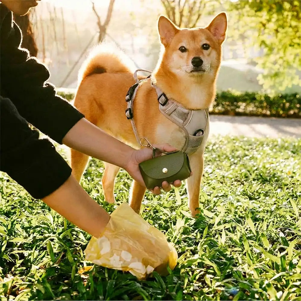 Handbag Style Faux Leather Dog Poop Bag Dispenser – view 2 | Petix pet supplies for dogs and cats