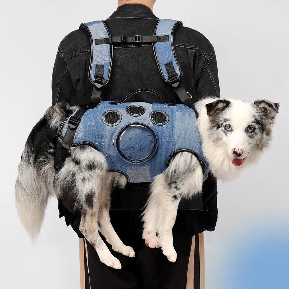 Hands-Free Dog Backpack Carrier for Travel & Hiking – Multifunctional Pack for Medium… | Petix pet supplies for dogs and cats