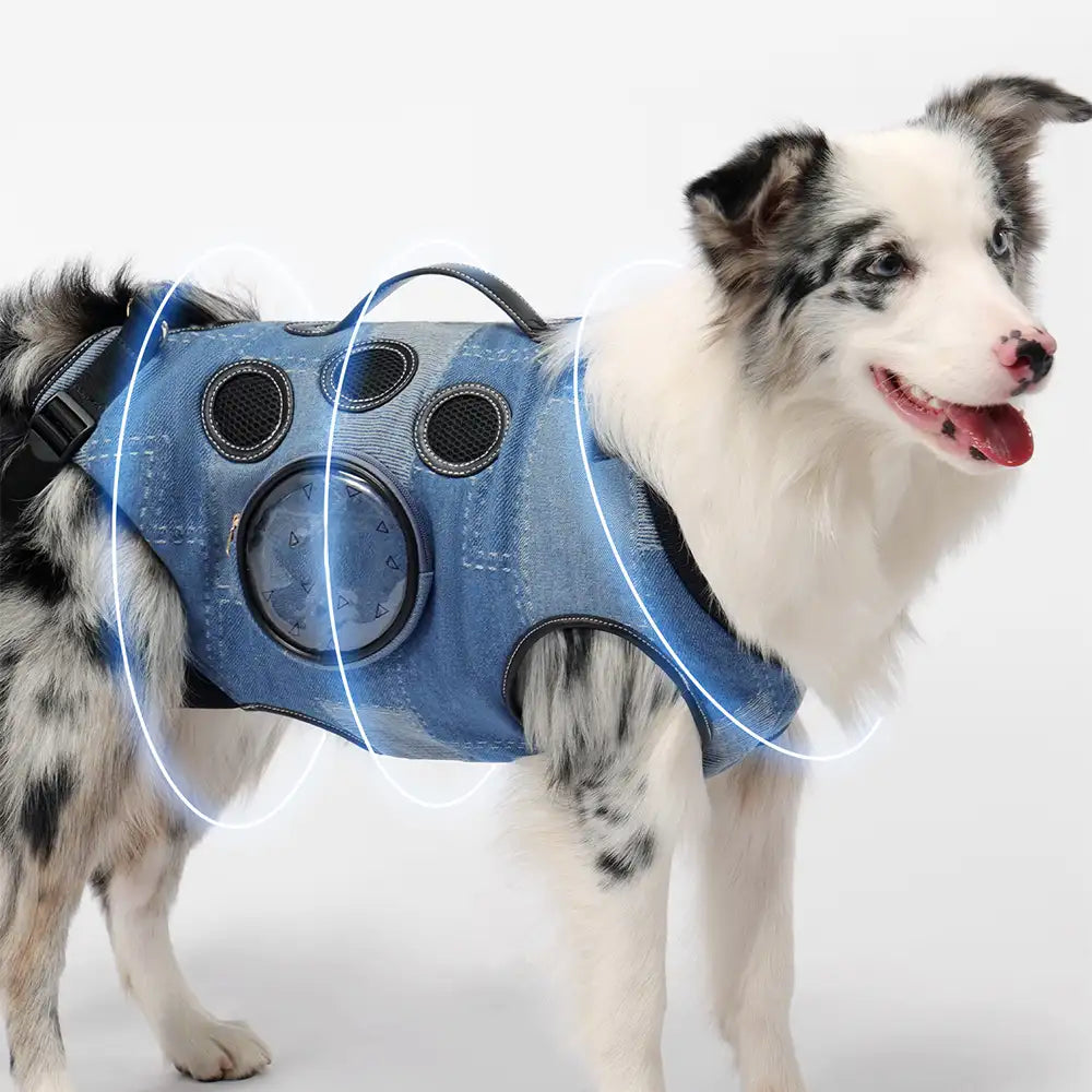 Hands-Free Dog Backpack Carrier for Travel & Hiking – Multifunctional Pack for Medium… | Petix pet supplies for dogs and cats