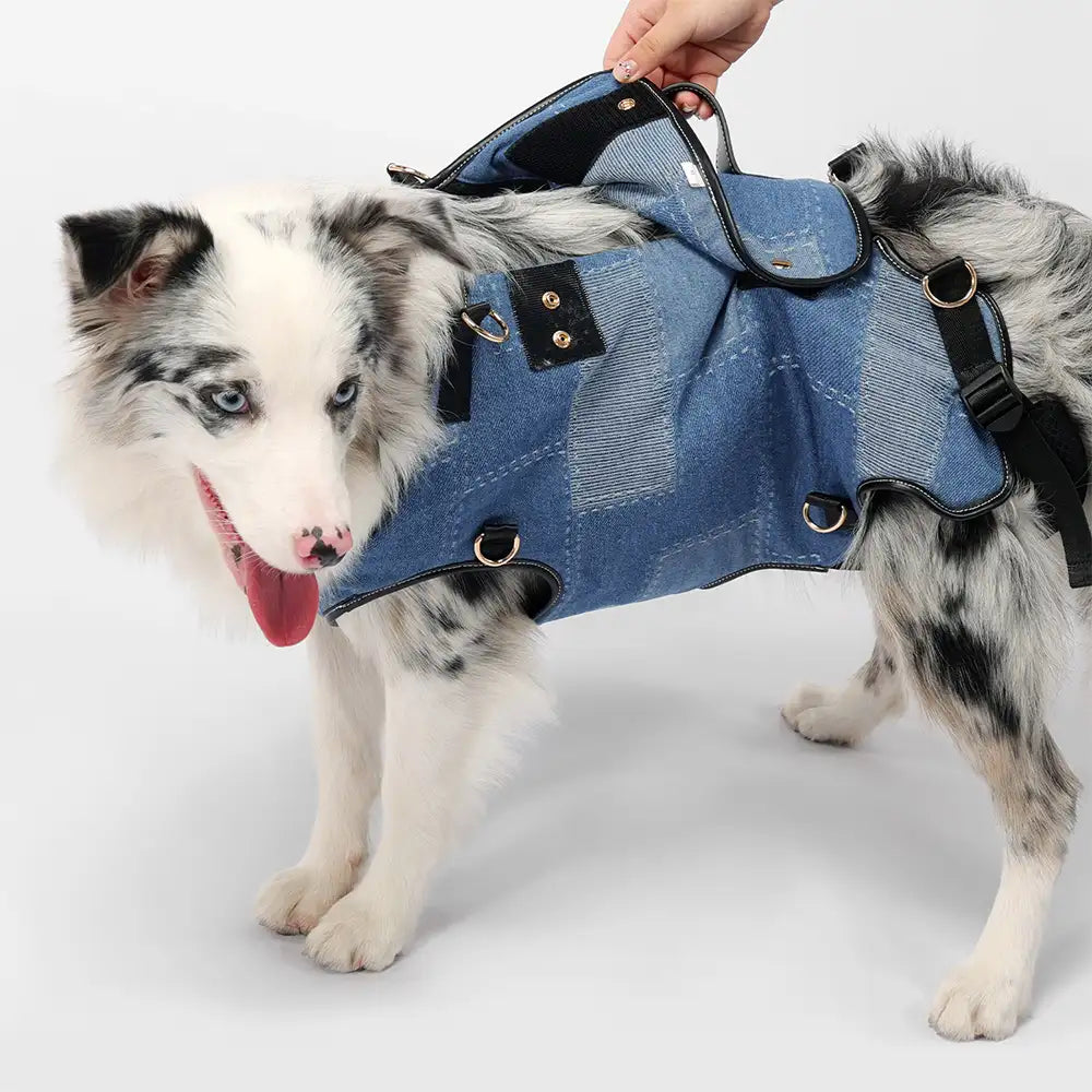 Hands-Free Dog Backpack Carrier for Travel & Hiking – Multifunctional Pack for Medium… | Petix pet supplies for dogs and cats