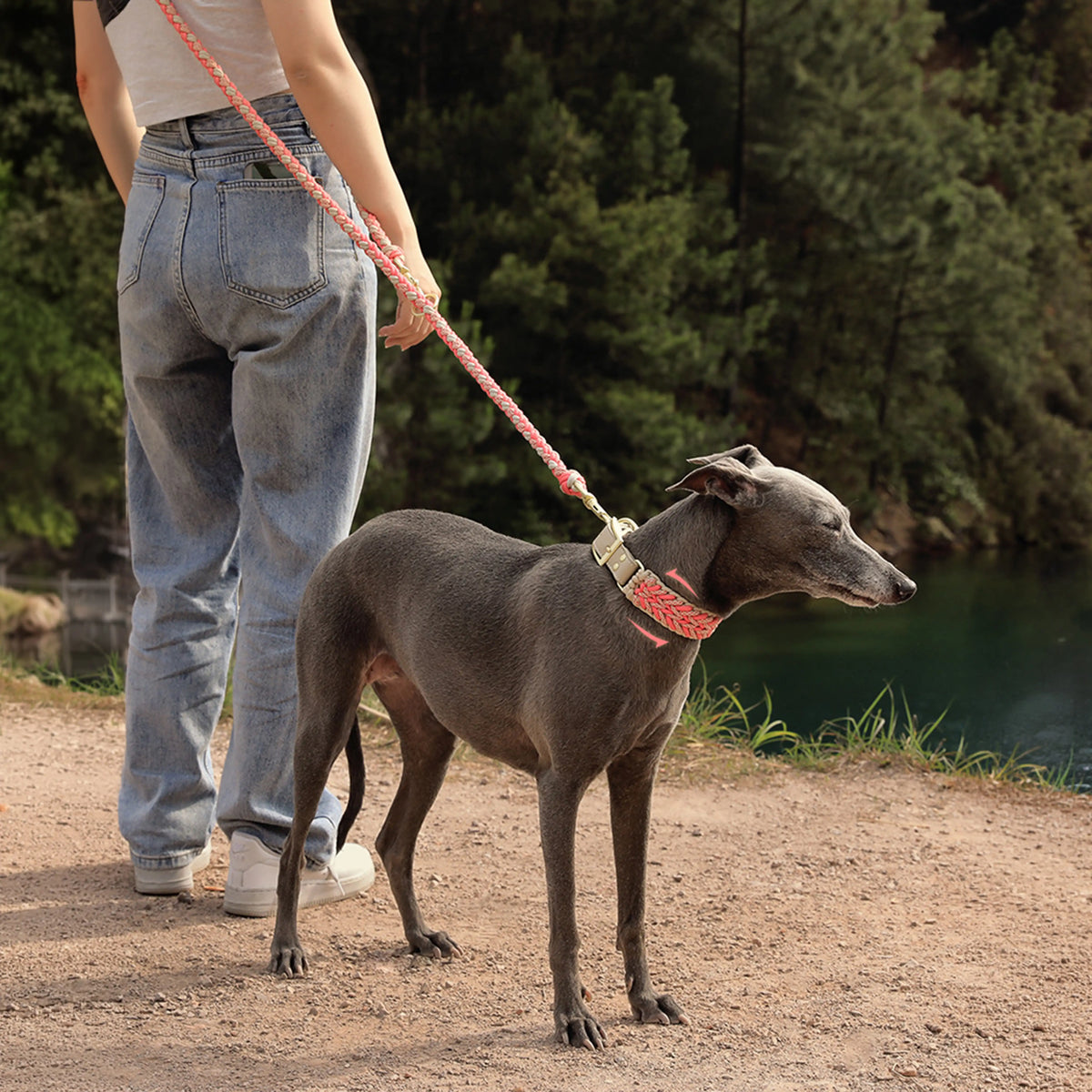 Heavy-Duty Hand-Woven Nylon Dog Leash for Medium and Large Dogs – Pet Leashes & Collar… | Petix pet supplies for dogs and cats