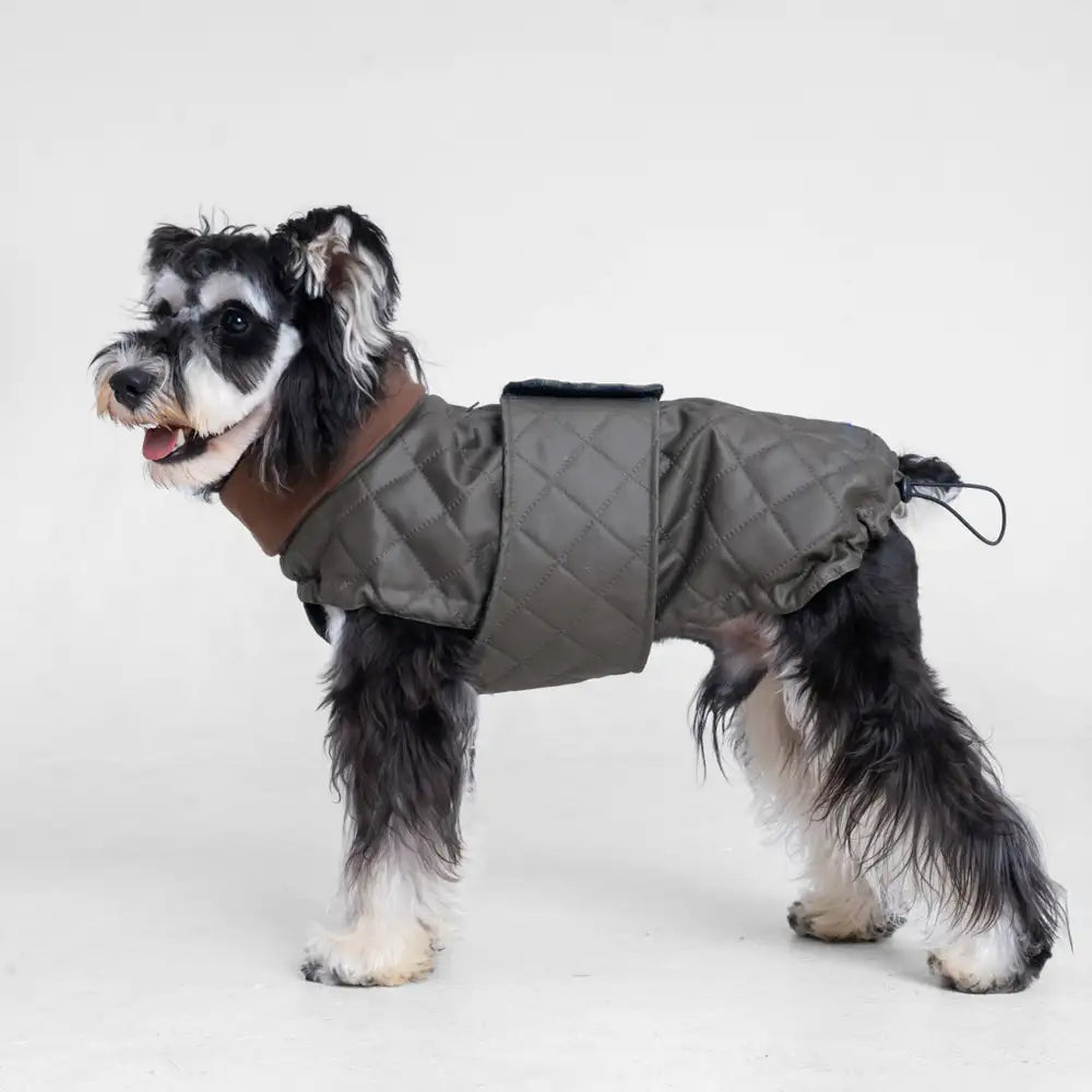 High-Neck Quilted Dog Vest – Warm Fashion Winter Coat – Dog Apparel (view 10) | Petix pet supplies for dogs and cats