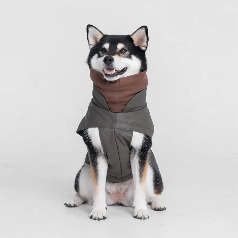 High-Neck Quilted Dog Vest – Warm Fashion Winter Coat – Dog Apparel (view 2) | Petix pet supplies for dogs and cats
