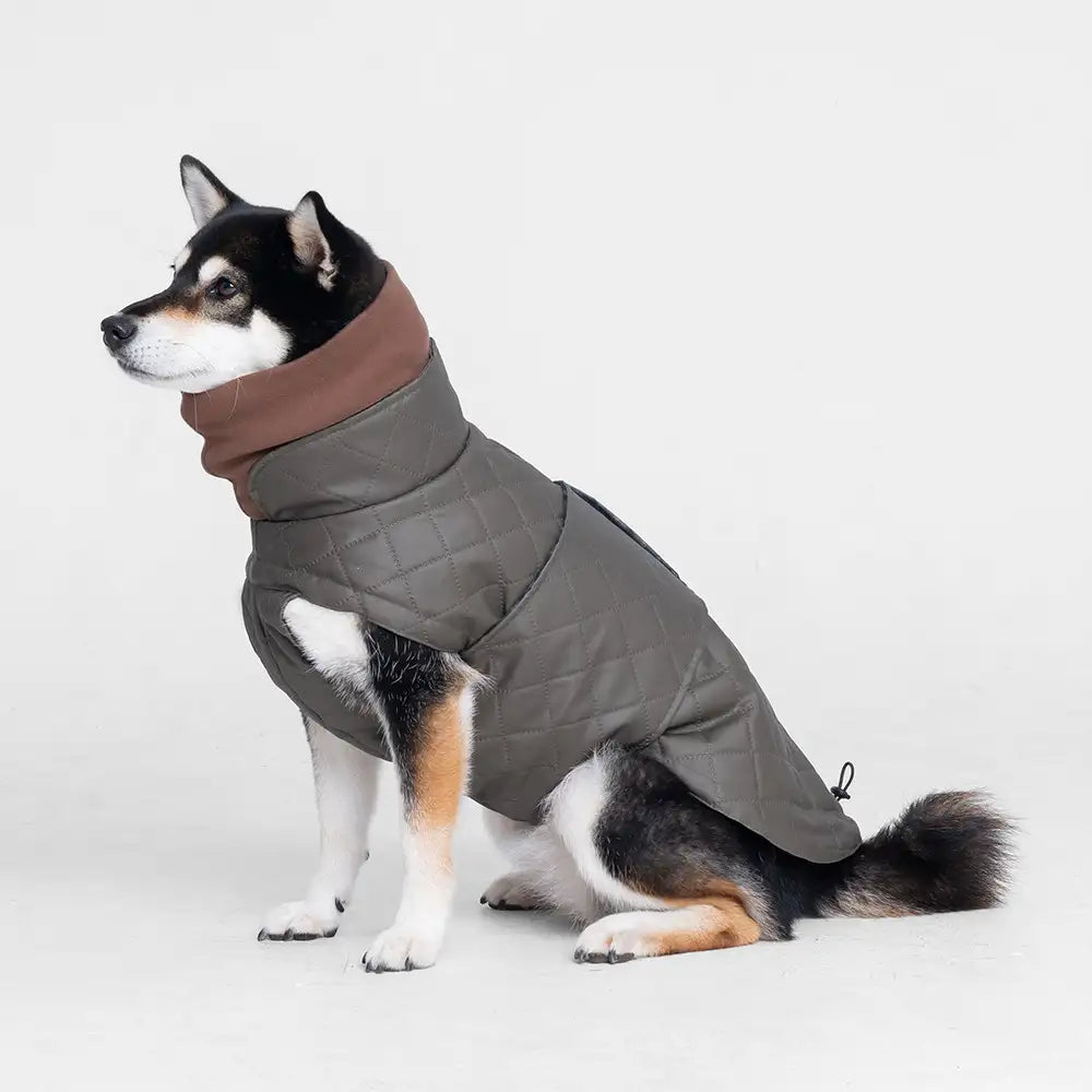 High-Neck Quilted Dog Vest – Warm Fashion Winter Coat – Dog Apparel (view 3) | Petix pet supplies for dogs and cats