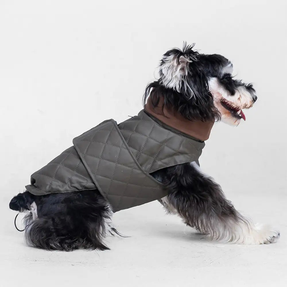 High-Neck Quilted Dog Vest – Warm Fashion Winter Coat – Dog Apparel (view 4) | Petix pet supplies for dogs and cats