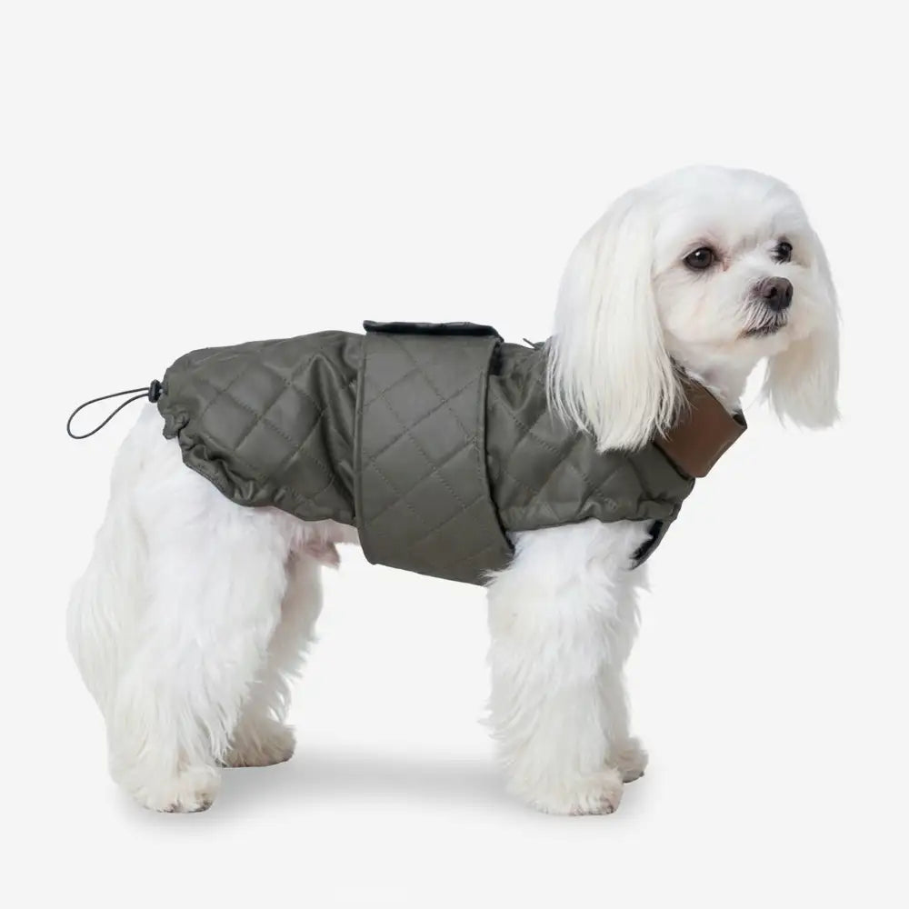 High-Neck Quilted Dog Vest – Warm Fashion Winter Coat – Dog Apparel (view 8) | Petix pet supplies for dogs and cats